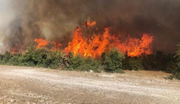 Çanakkale'de 70 dönümlük makilik alan kül oldu