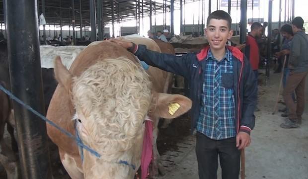 Otomobil fiyatına kurbanlık