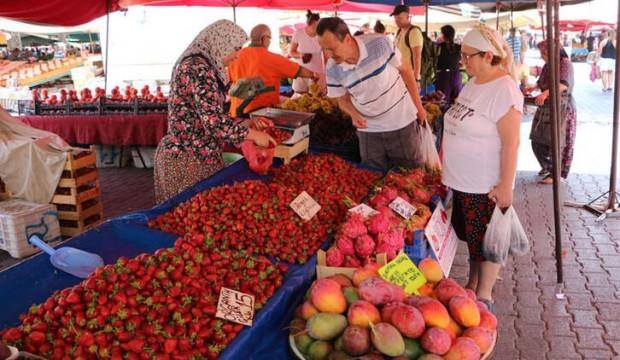 Tanesi 35 lira! Hasat başladı