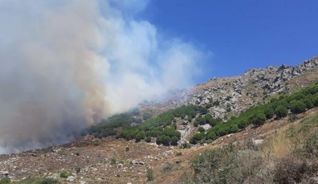 Marmara Adası'ndaki yangınla ilgili 2 kişi adliyeye sevk edildi
