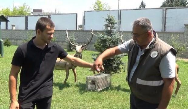 Biberonla besleyip büyüttü, daha fazla dayanamayınca...