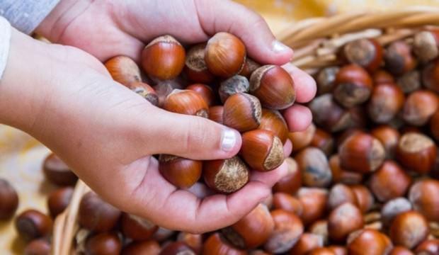 Açıklama geldi: Ödemeler 20 gün içinde yapılacak