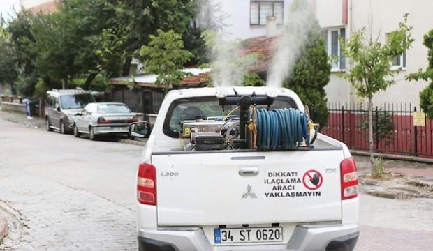 Çöplüğe dönen Bolu sokakları için lavanta pişkinliği