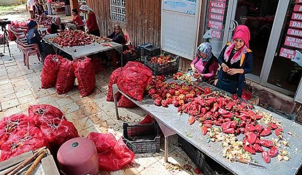 Kışa hazırlık derken, yollar salça kokuyor