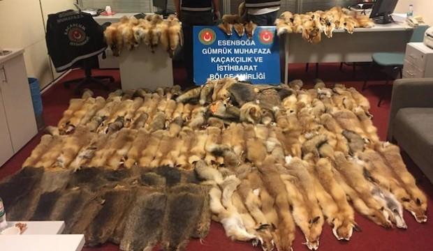 Türkiye'ye gelen yolcunun valizinden çıktı! Tam 128 adet