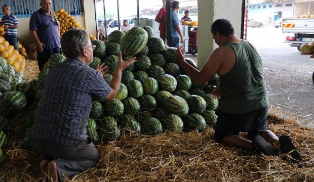 Domates 50, karpuz 20 kuruşa düştü