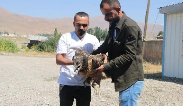 Hakkari'de bu halde bulundu! En nadir türlerden biri...