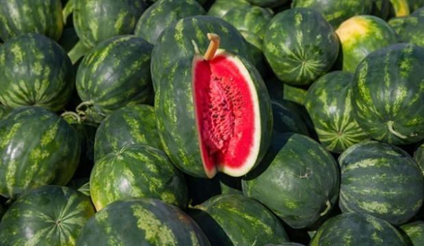Tonlarca domates ve karpuz çöpe