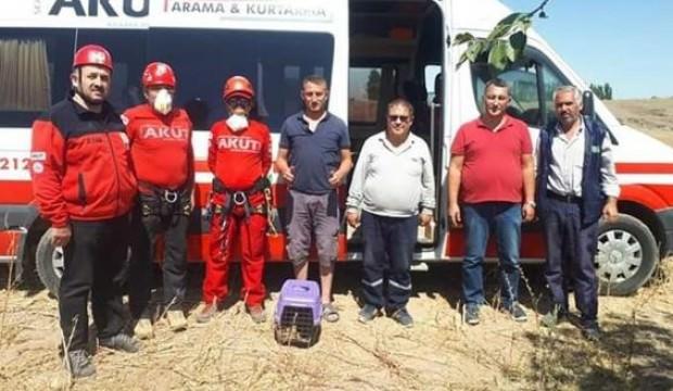 12 metrelik su kuyusuna düşen tilkiyi AKUT kurtardı