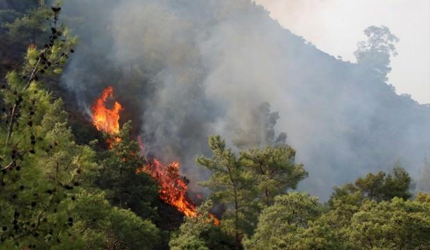 Antalya'daki orman yangını kontrol altına alındı