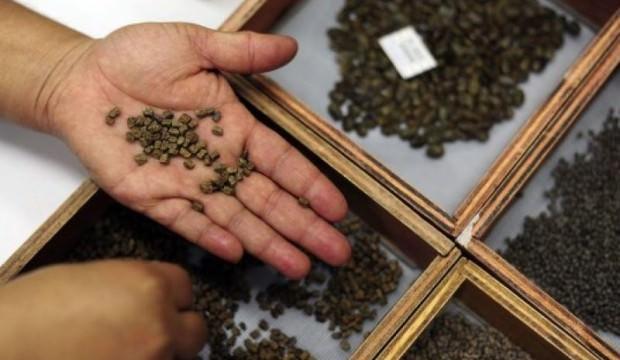 Tarım Kredi'den yem ve tohumda indirim kampanyası