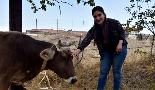 Bayburt'ta kaybolan ineğini bakın nerede buldu?