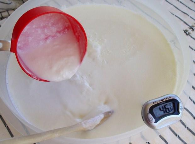 Yoğurt mayalamanın kolay yolu nedir? Evde taş gibi yoğurt yapımı! Ev yoğurdunun faydası
