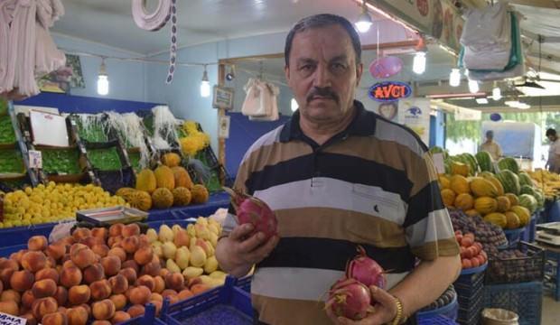 Hem şekli hem fiyatı şaşırtıyor!