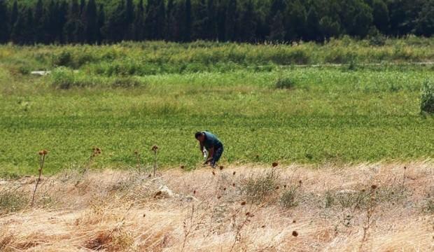Tam 104 yıldır kayıptı, yeri tespit edildi