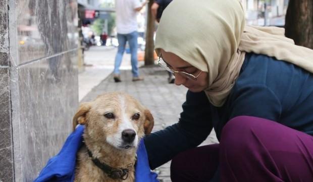 Yağmurda ıslanan köpeği kıyafetiyle kuruladı