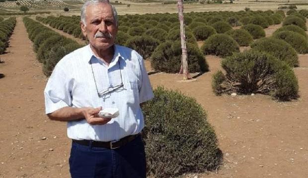 1 aydır sahibini arıyor! İçi altın dolu...