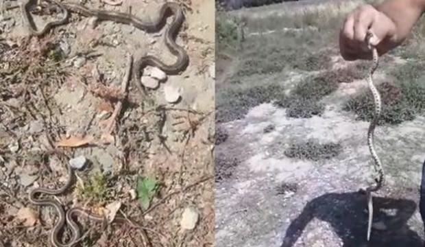 Görünce inanamadı! Evin kapısına dayandılar