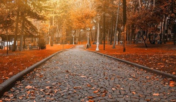 İstanbul'un en güzel sonbahar rotaları