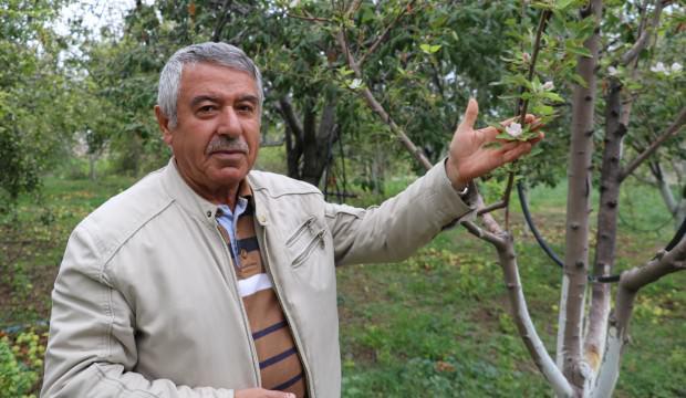 Nevşehir'de şaşırtan olay! Sonbahar'da çiçek açtı