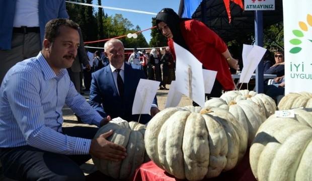 30 kiloluk kabak 20 bin liraya alındı
