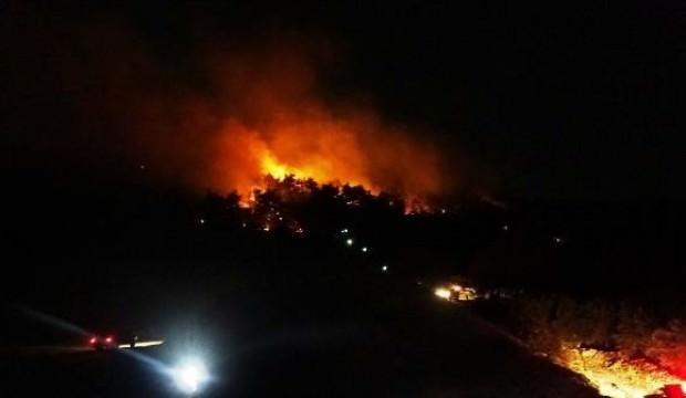 Bursa'da orman yangını