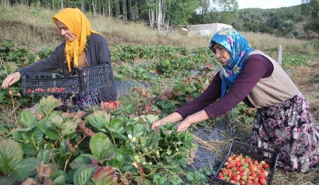 Devlet desteğiyle 60 yaşında üretime başladı