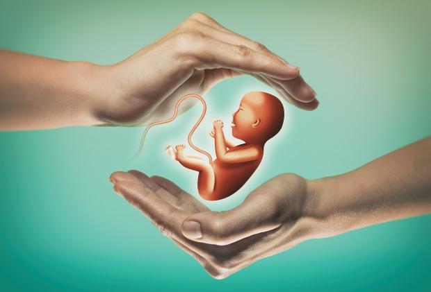 Tüp bebekte başarı arttıran beslenme ve dualar! Hamilelik için tüp bebek tedavisi Saraçoğlu kür