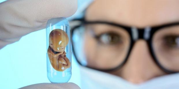 Tüp bebek tedavisi nedir, tüp bebek nasıl yapılır? Tüp bebekte ikiz gebelik & embriyo transferi