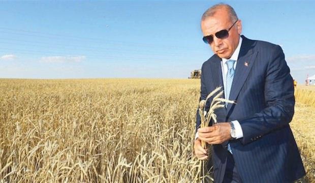 Gıdayı kontrol eden kazanır