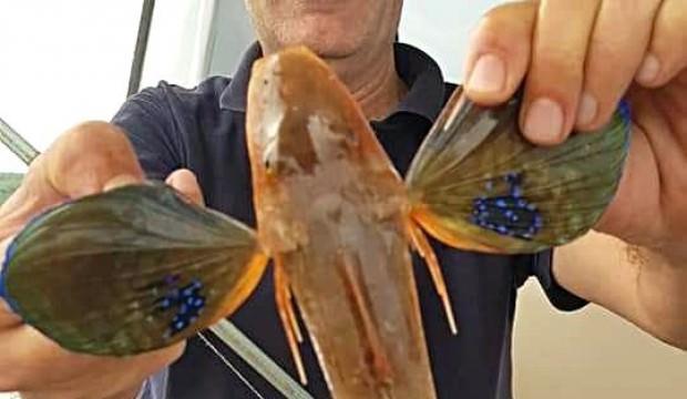 Oltasına takılan balığı görünce şaşkına döndü