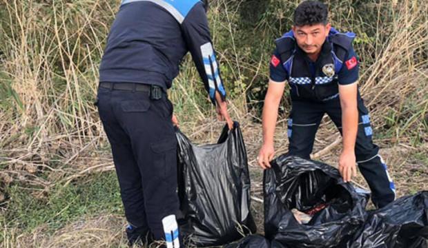 Torbalardan çıktı... Korkunç olay