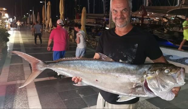 Yakaladığı balık görenleri şaşkına çevirdi