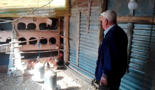Sesleri duyup geldi...Görünce gözyaşlarına boğuldu