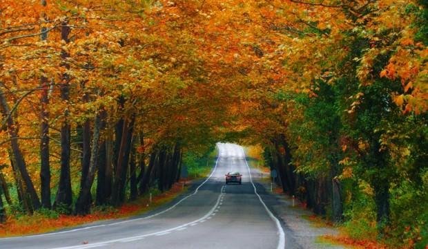 Sonbaharda fotoğraf çekmek için en iyi 10 rota