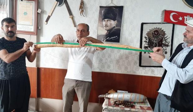 Görenler fotoğraf çektiriyor! Tam 1,5 metre uzunluğunda...