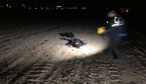 Kadının yardım çığlıklarına koştular! Tek kelimeyle vahşet