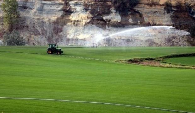 Stat çimleri Tekirdağ'dan