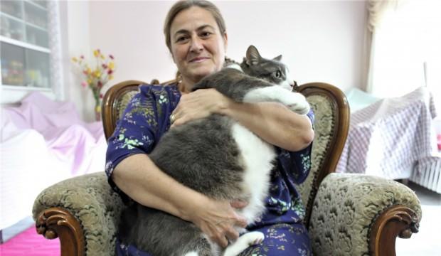 Bu kediyi görenler gözlerine inanamıyor