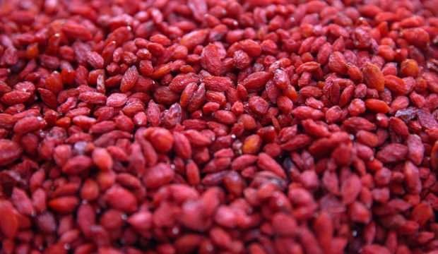 "Bunu kimse yemez" dediler, şimdi talebe yetişemiyor