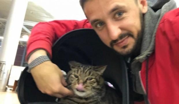 Tombul kedi uçağa alınmayınca dublörünü kullandı