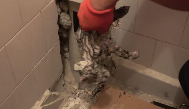 Tuvalet gider borusunda 3 gün mahsur kalan kedi kurtarıldı