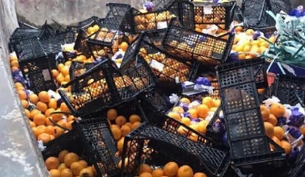 21 ton mandalina yanlış etiket kurbanı oldu