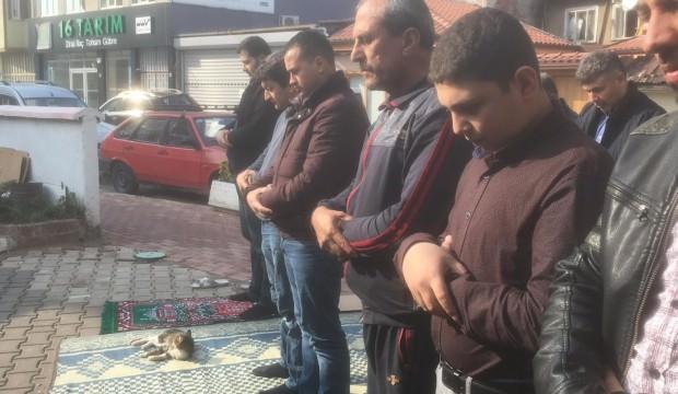 Cami cemaatinin kedi sevgisi takdir topladı