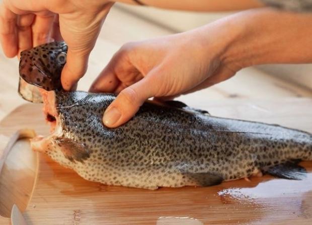 Buzdolabında balık nasıl saklanır? Bayat balık nasıl anlaşılır?
