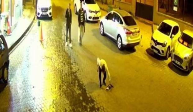 Soluk borusuna cisim kaçan kediyi hayata döndürdü