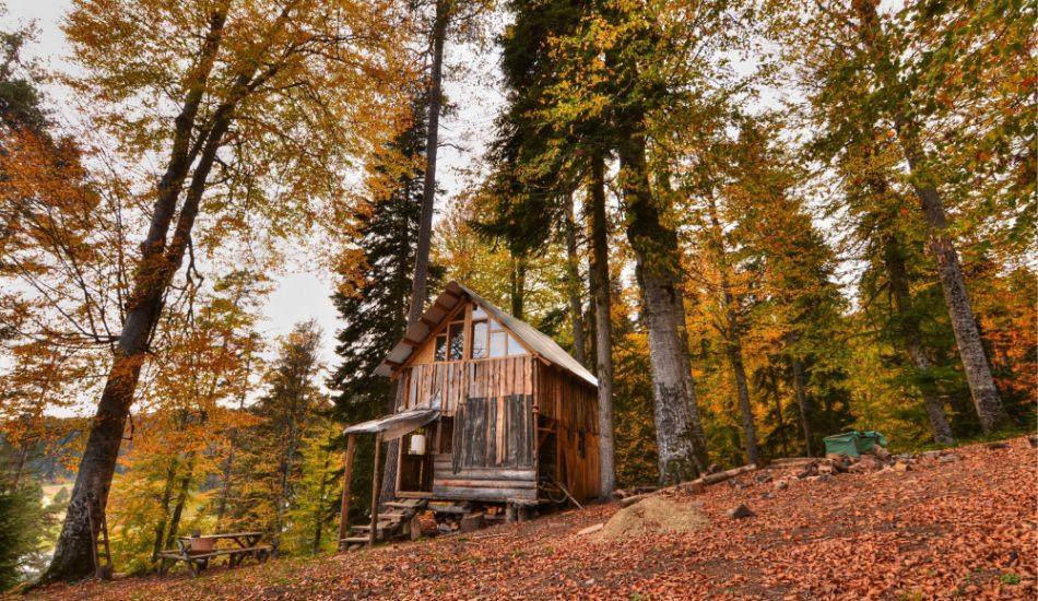 sonbaharda_nerelere_gidilmesi_gerekir_sakarya_ve_duzce_yaylalari_1574082891_7332.jpg