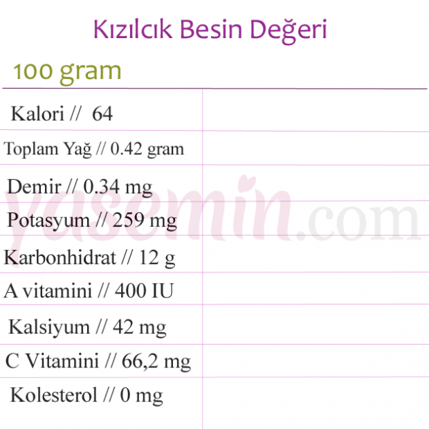 Kızılcığın faydaları nelerdir? Kızılcık hangi hastalıklara iyi gelir?