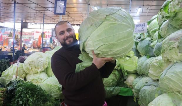 Bu lahanalar görenleri hayrete düşürüyor