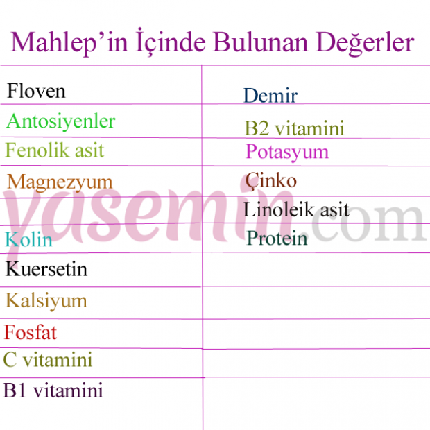 İÇERDİĞİ DEĞERLER